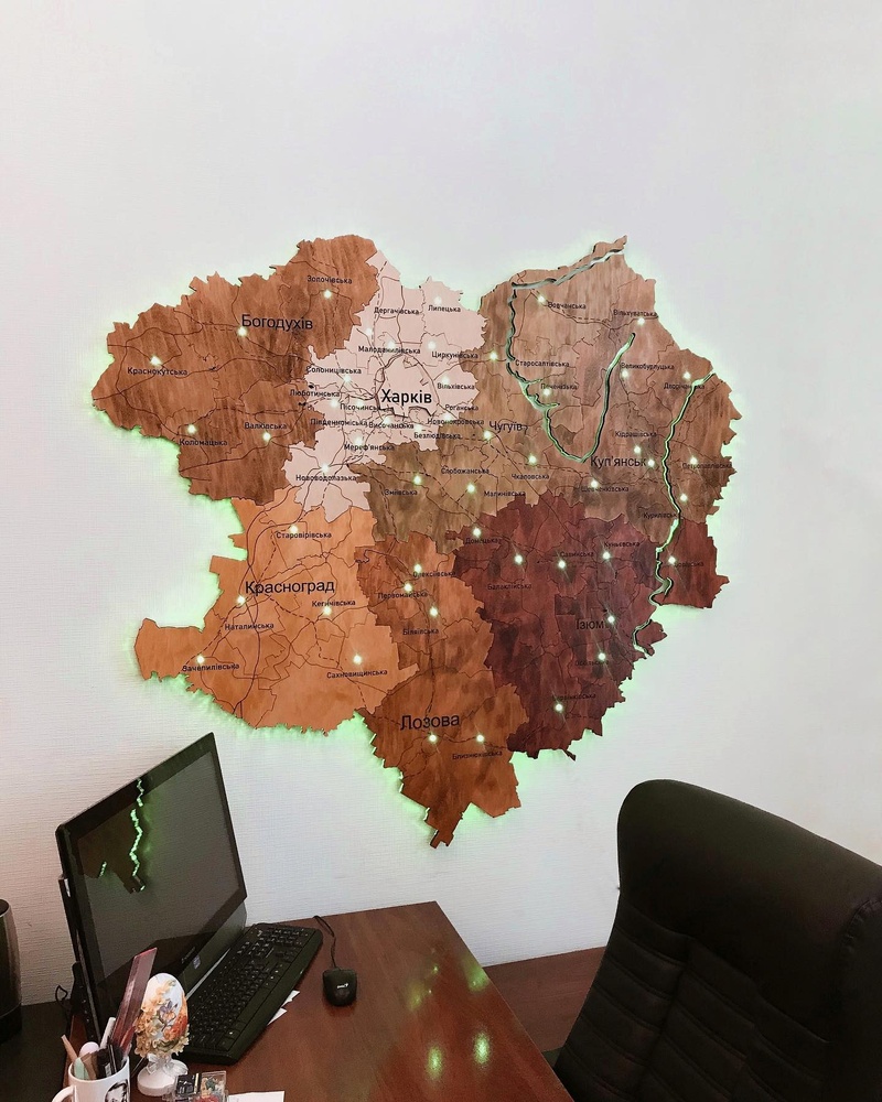 Wooden Map of Kharkiv region 150х145 cm